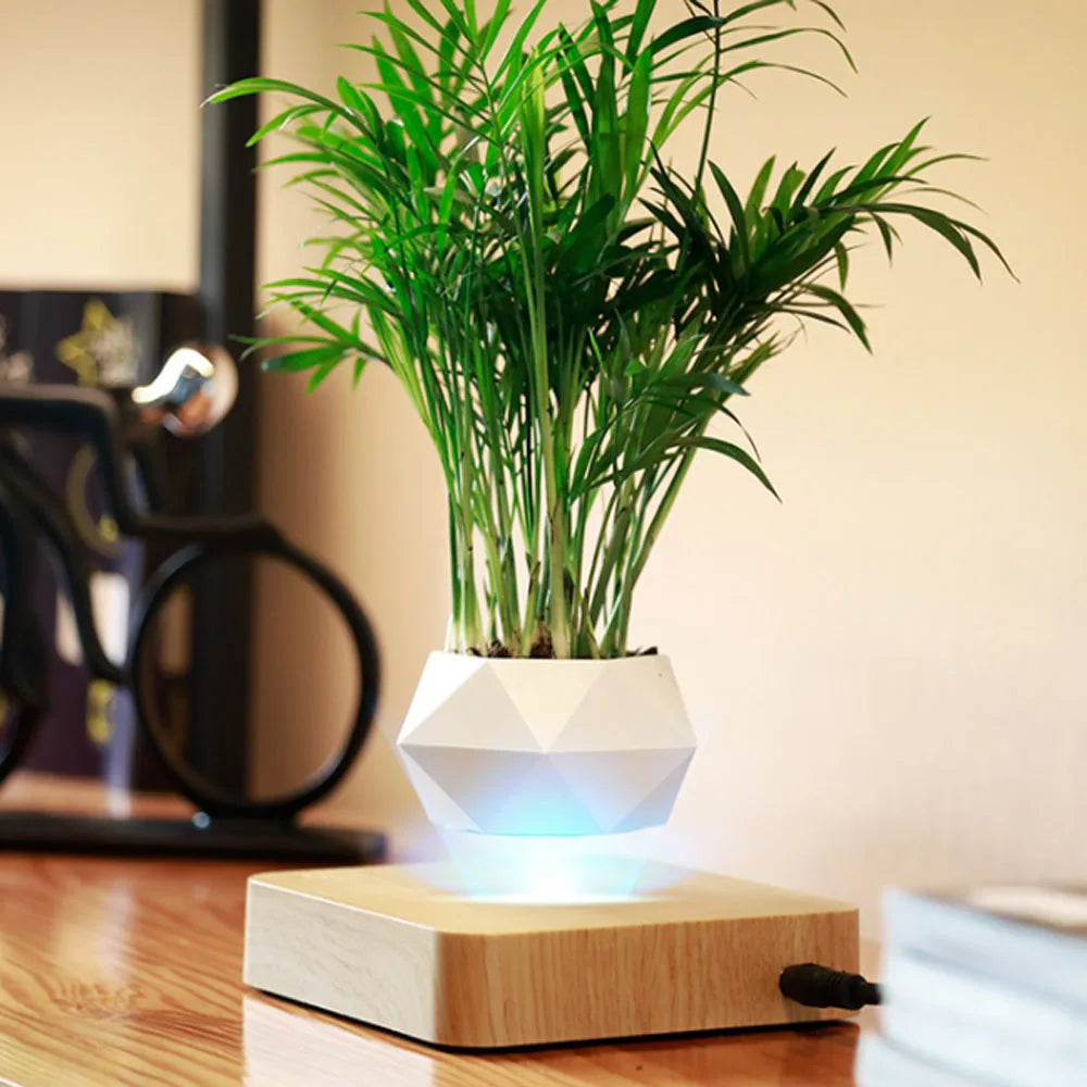 Levitating Air Bonsai Pot